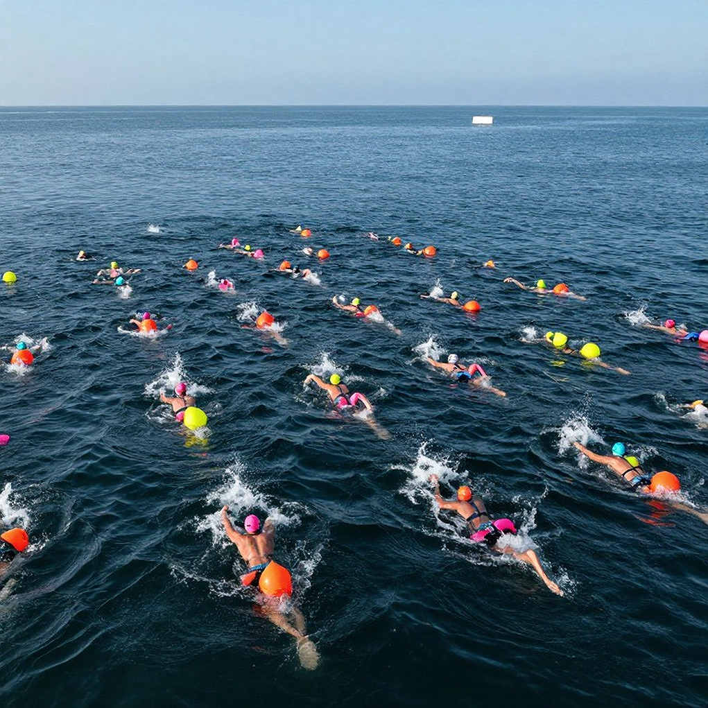 Phân tích thể thao không thể kết luận vì nguồn dữ liệu trống Phân tích thể thao không thể kết luận vì nguồn dữ liệu trống