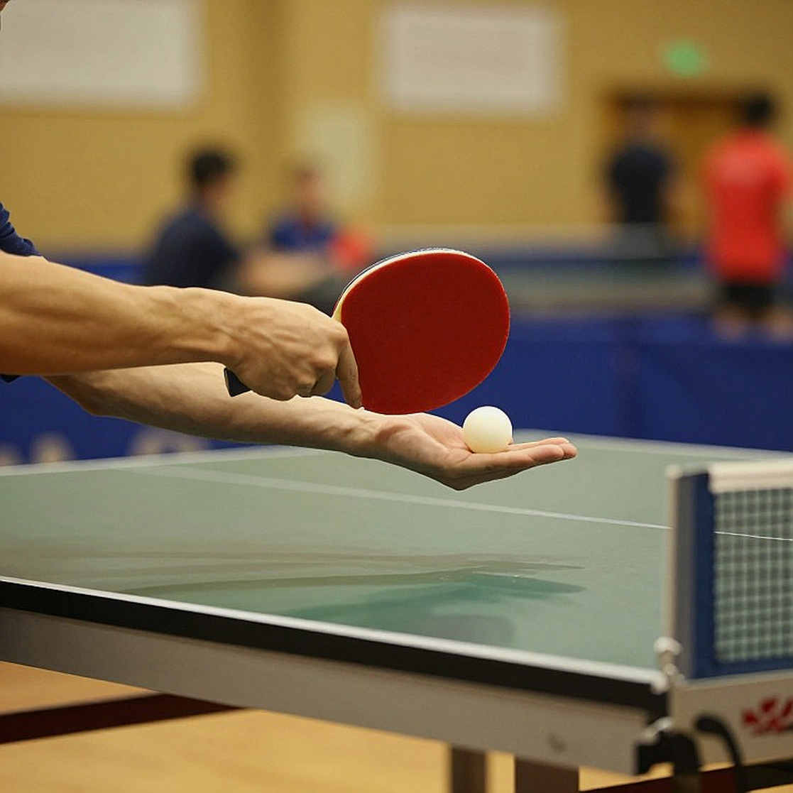 WTT Champions Ma Cao 2026: Anna Hursey và Tom Jarvis trước bức tường mang tên Harimoto, Matsushima
