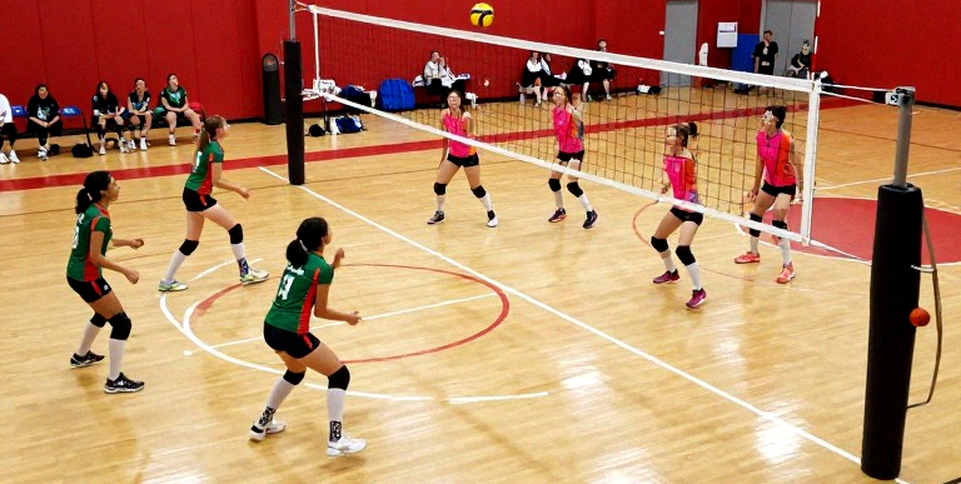 Brazil vô địch Nam Mỹ lần thứ 16 liên tiếp: Tainara thay Rosamaria và tấm vé Olympic 2028 cần được kiểm chứng